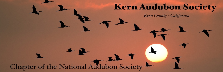 Kern Audubon Society