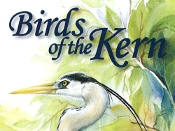 Birds of the Kern