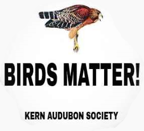 Birds Matter Kern Audubon Society