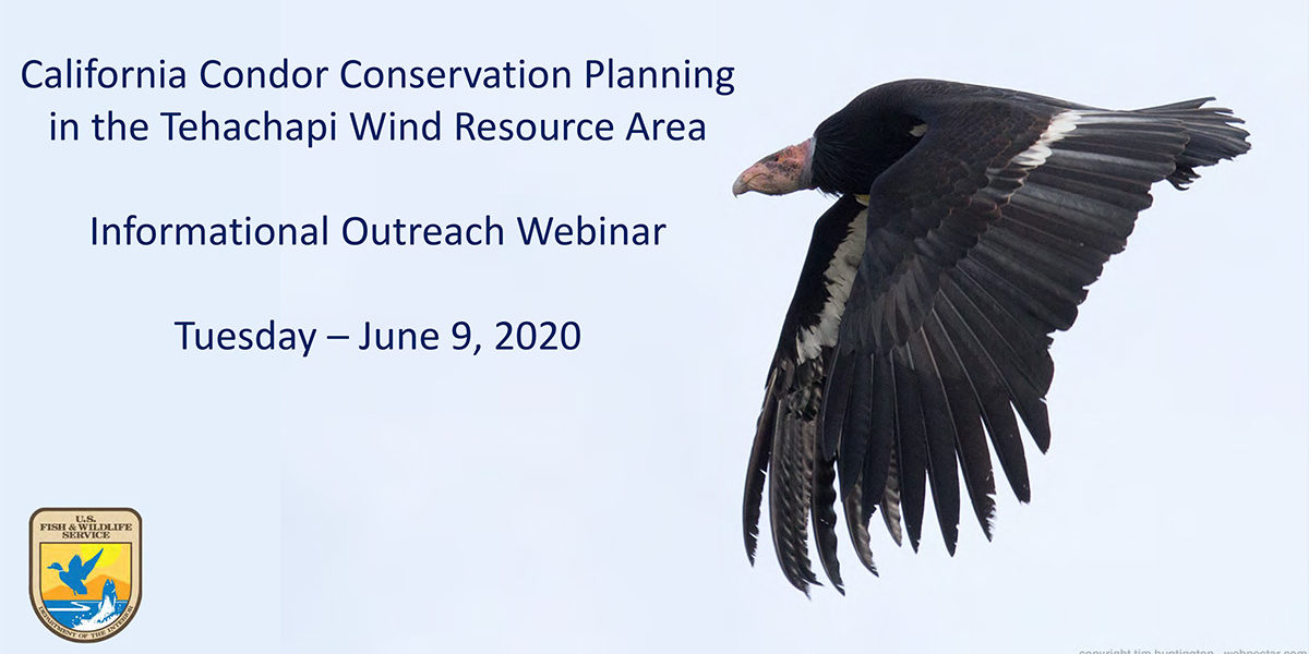 Condor Conservation Planning Presentation