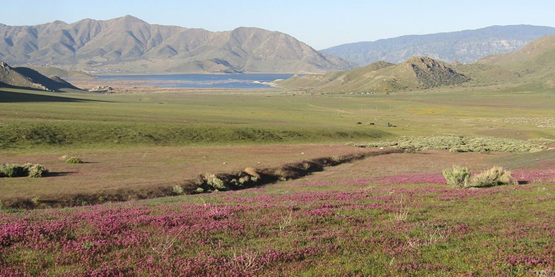 Hanning Flat Preserve