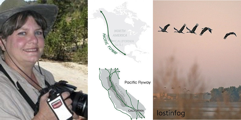 April-6-meeting Alison Sheehey