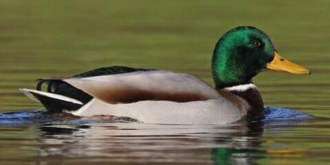 69CB790A-2C3D-4F78-86FE-C8AA78227FD1