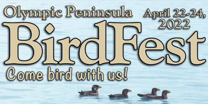 Olympic Peninsula BirdFest April 2022