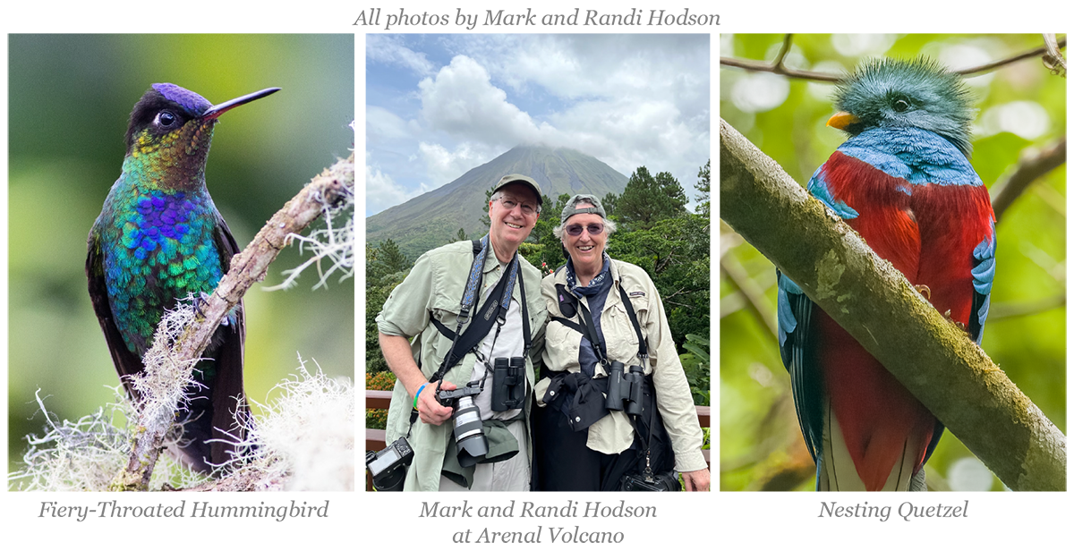 Costa Rica Birding Trip Mark Hodson