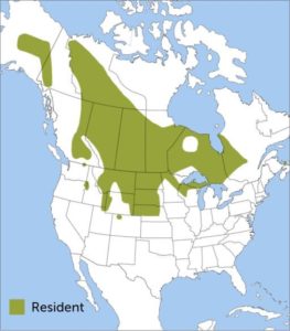 Sharp-tailed Grouse range map by ABC