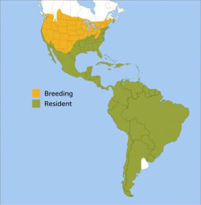 Region and range map of Turkey Vulture