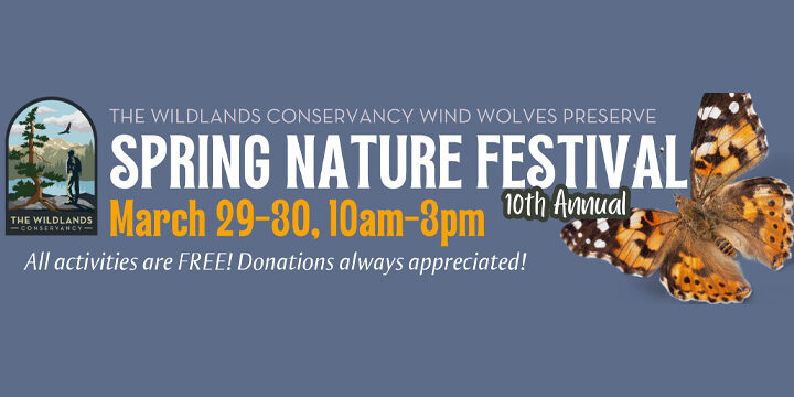 spring-nature-festival 10th Annual Spring Nature Festival At Wind Wolves, March 29-30, 10am-3pm