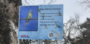 Bird sign at Hart Part
