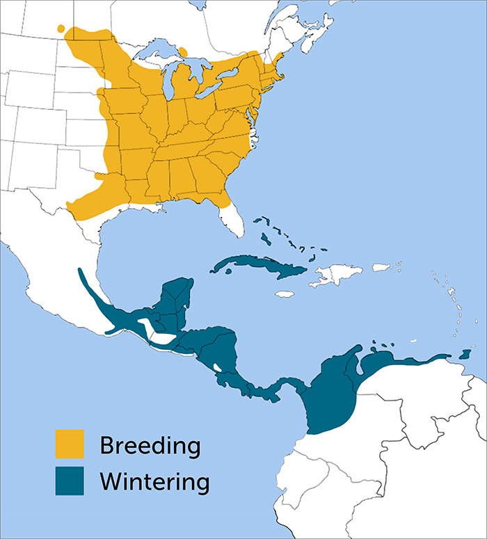 Yellow-throated Vireo Range Map