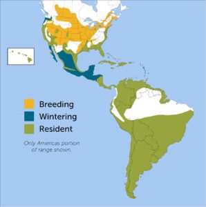 Black-crowned Night Heron Region Map