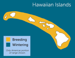 Red-tailed Tropicbird Region Map