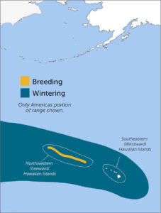 Bonin Petrel Region Map