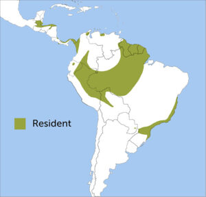 Crested Eagle range map by ABC