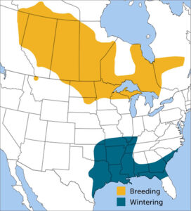 LeConte’s Sparrow Range Map