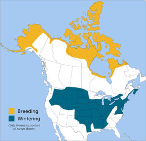 Lapland Longspur range map by ABC