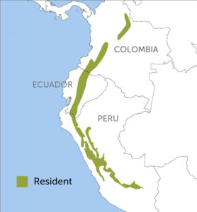 Shining Sunbeam Region Map