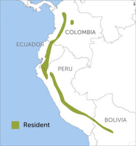White-bellied Woodstar Region Map