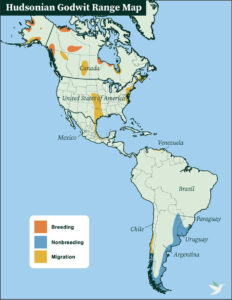 Hudsonian Godwit Range Map