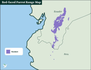 Red-faced Parrot Region Map