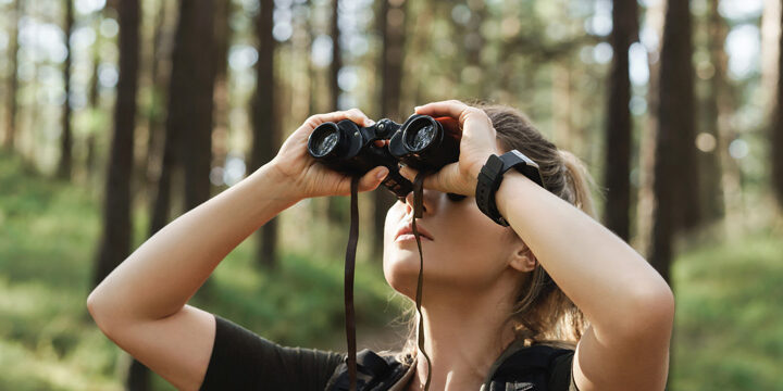 Birding-in-park Birding in park with binoculars