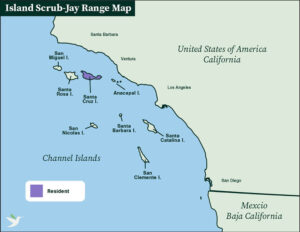 Island Scrub-Jay Range Map