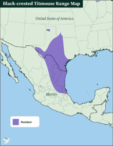 Black-crested Titmouse range map by ABC