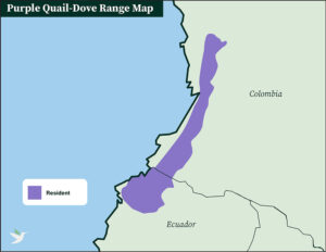 Purple Quail-Dove Range Map
