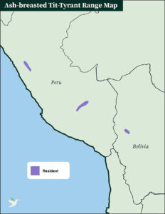Ash-breasted Tit-Tyrant Range Map